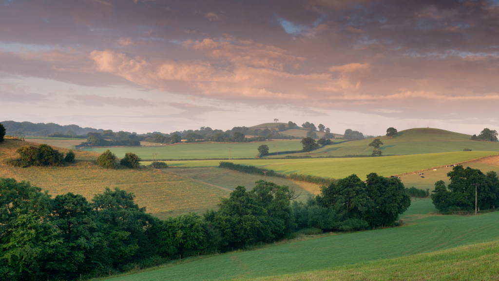 Somerset
